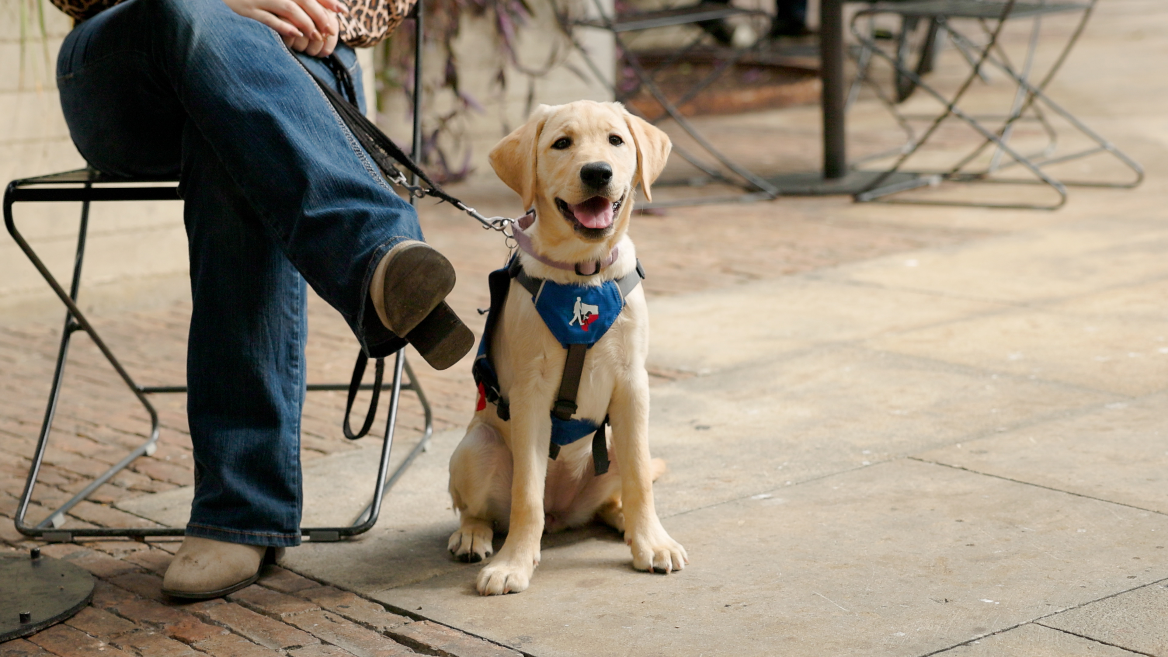 Katelyn and her guide dog