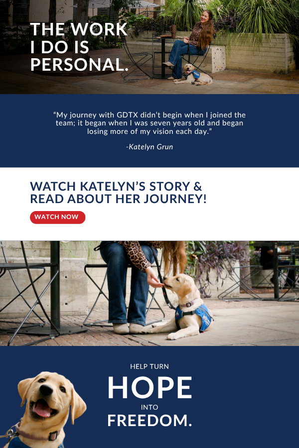 End of year appeal banner showing Katelyn sitting with the guide dog puppy Willa